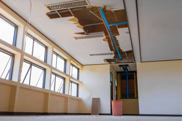 Best Local water damage restoration  in North Massapequa, NY