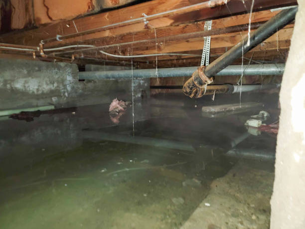 Best Sewage cleanup and water damage restoration  in North Massapequa, NY