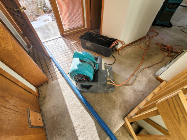 Best Residential water damage restoration  in North Massapequa, NY