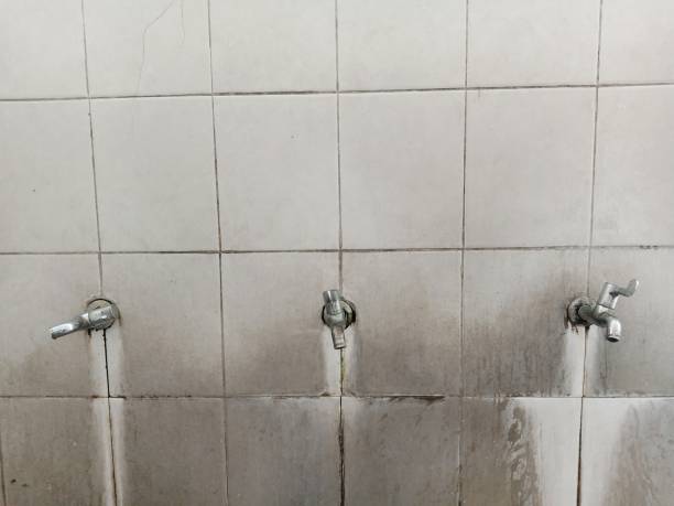 Best Water damage restoration near me  in North Massapequa, NY