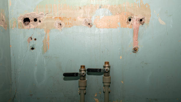 Best Carpet water damage restoration  in North Massapequa, NY
