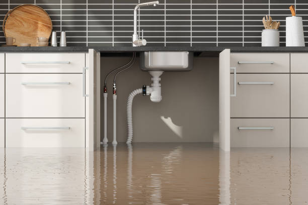 Best Water damage cleanup near me  in North Massapequa, NY