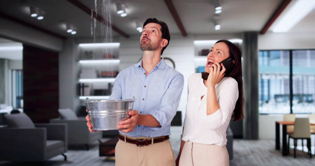 Best Commercial water damage restoration  in North Massapequa, NY