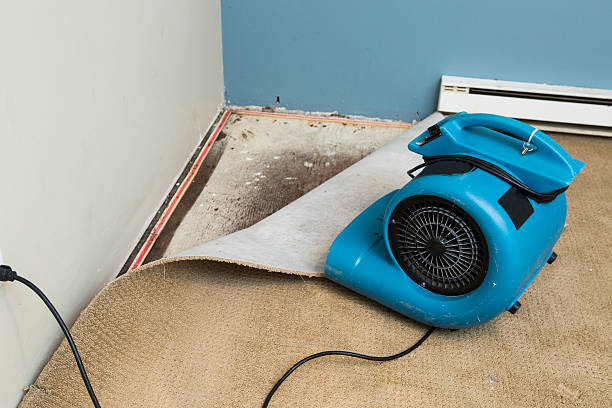 Carpet water damage restoration in North Massapequa, NY